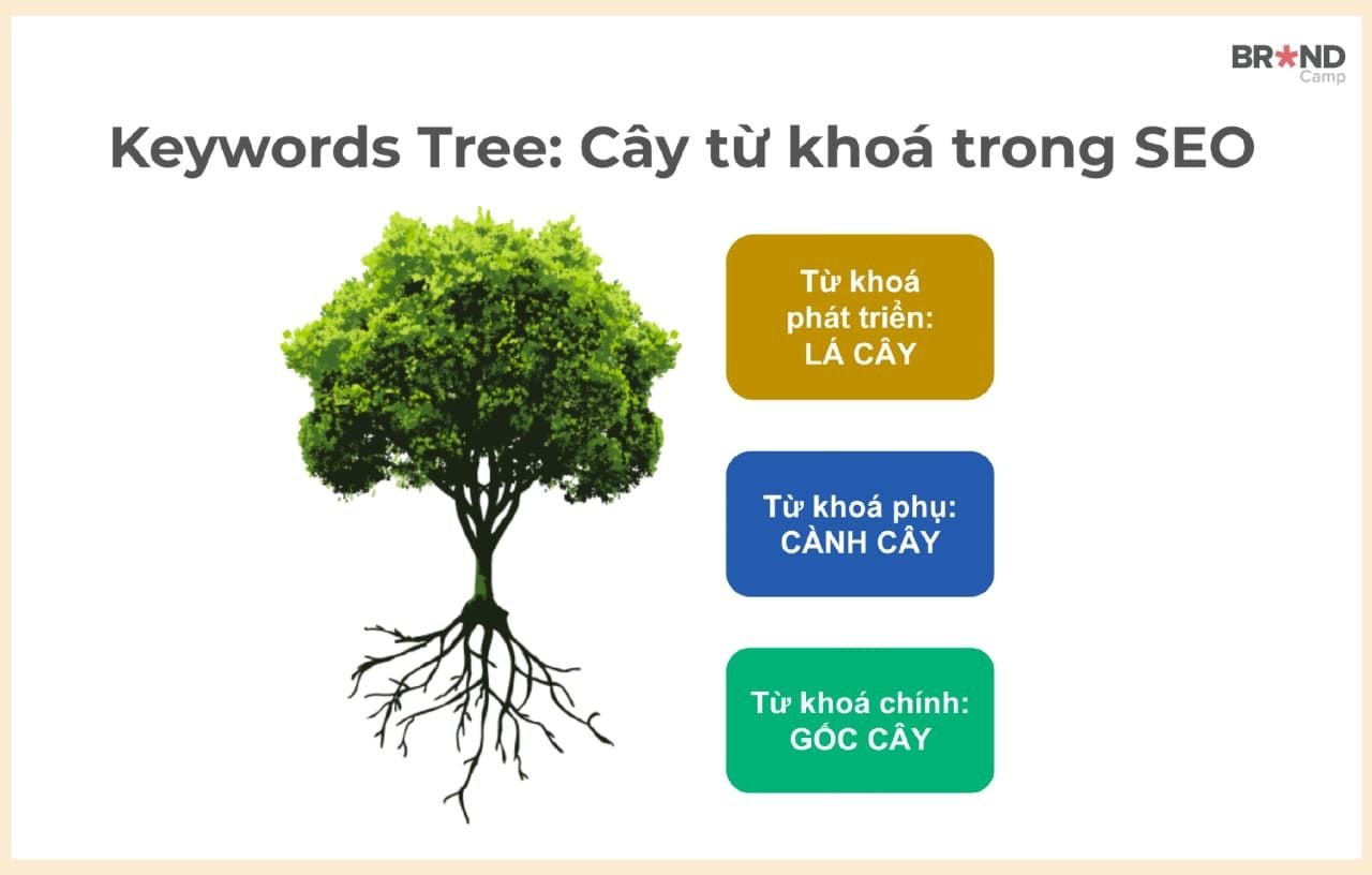 Sơ đồ cây từ khóa SEO