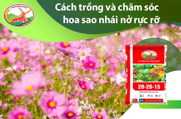 Hình ảnh mô phỏng quá trình trồng hoa lên giàn, tạo điểm nhấn cho không gian kiến trúc
