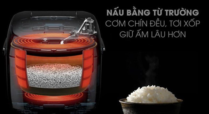 Chất lượng gỗ tần bì được kiểm định nghiêm ngặt