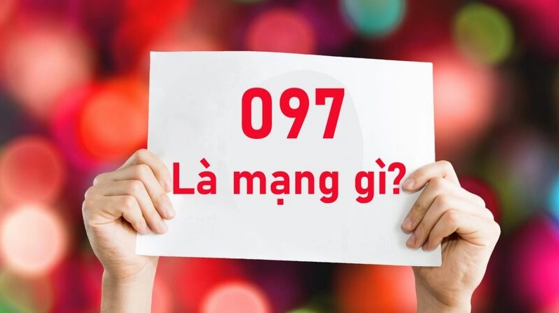 097-la-mang-gi-kham-pha-chi-tiet-y-nghia-va-cach-su-dung-202_142