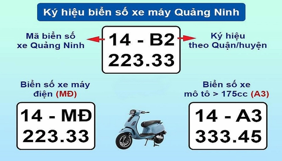 14-la-bien-o-au-giai-ma-y-nghia-va-lich-su_902