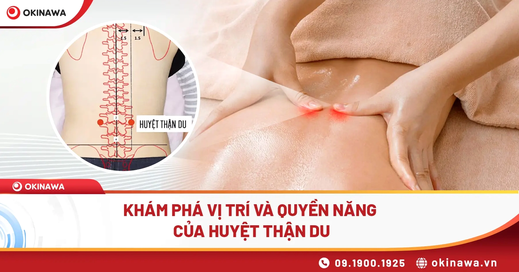 Bản đồ các huyệt đạo vùng lưng