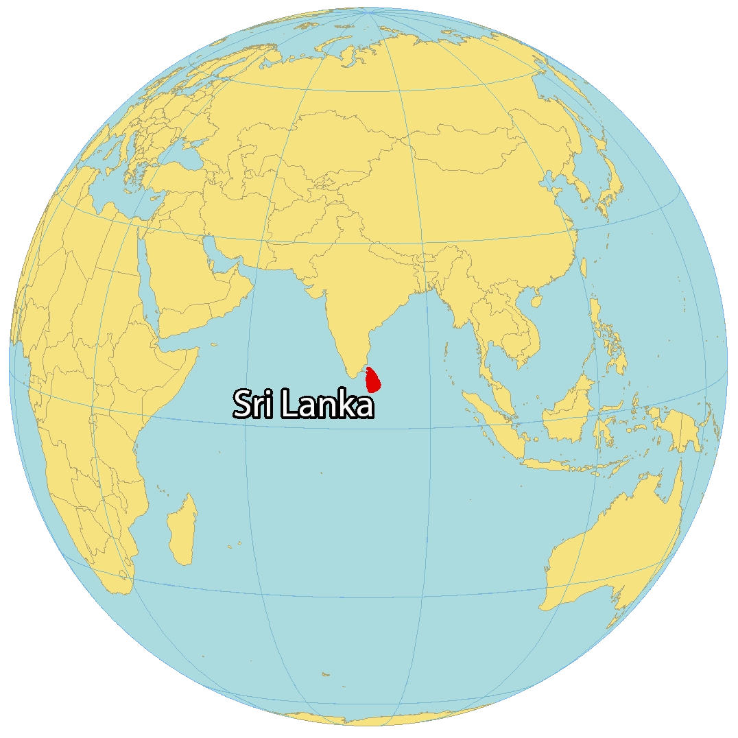 Bản đồ định vị GIS
