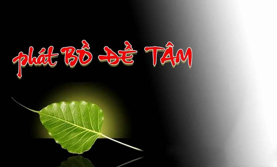 bo-e-tam-khai-mo-tri-tue-va-long-tu-bi-vo-luong_668