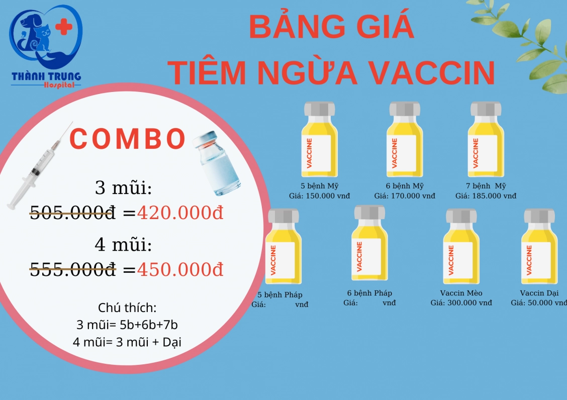 Chích Ngừa Chó Cắn Bao Nhiêu Tiền? Cập Nhật Giá 2026 Các loại vắc xin phòng bệnh