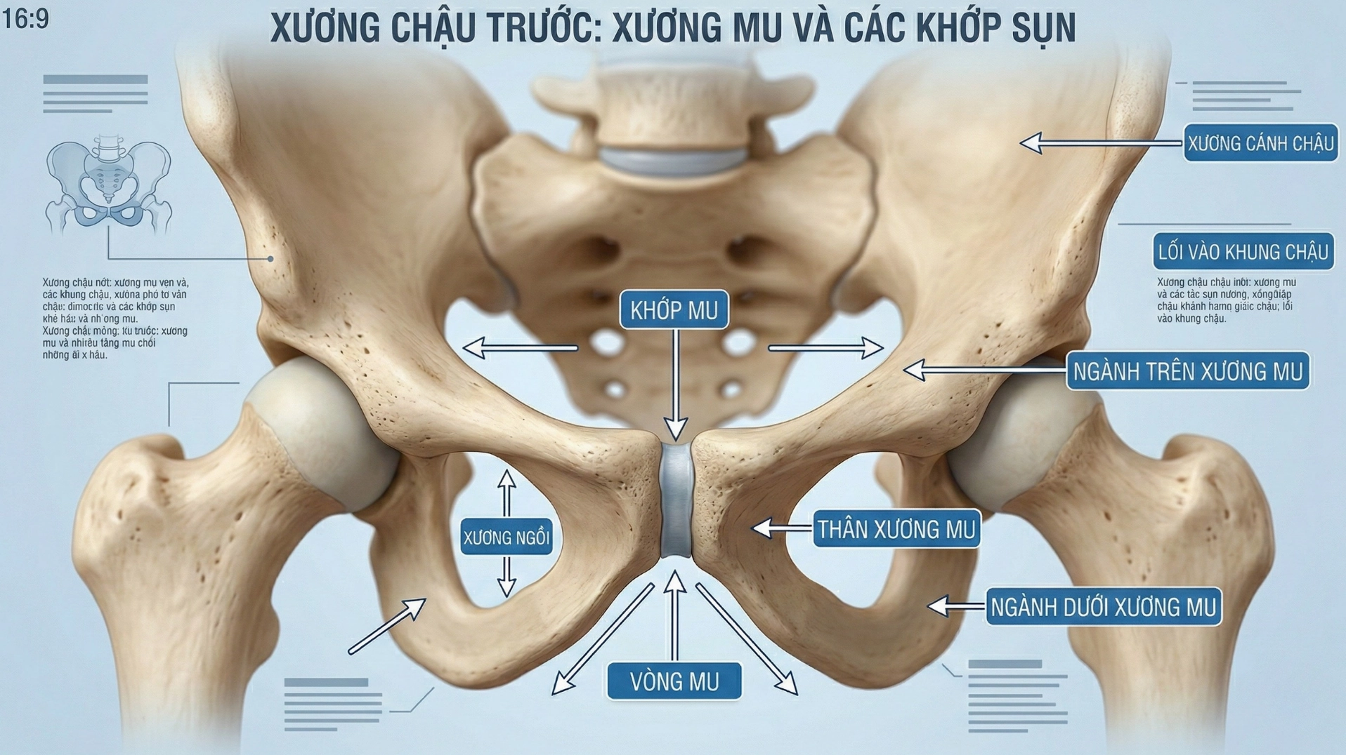 Các nguyên nhân gây đau xương mu