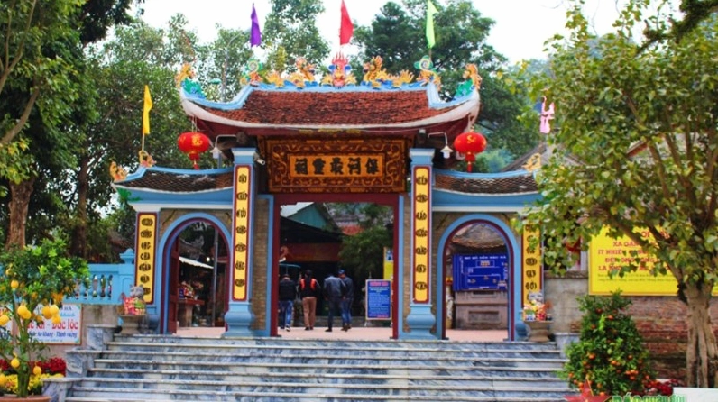 Cánh đồng lúa xanh mướt tại Quỳnh Phụ