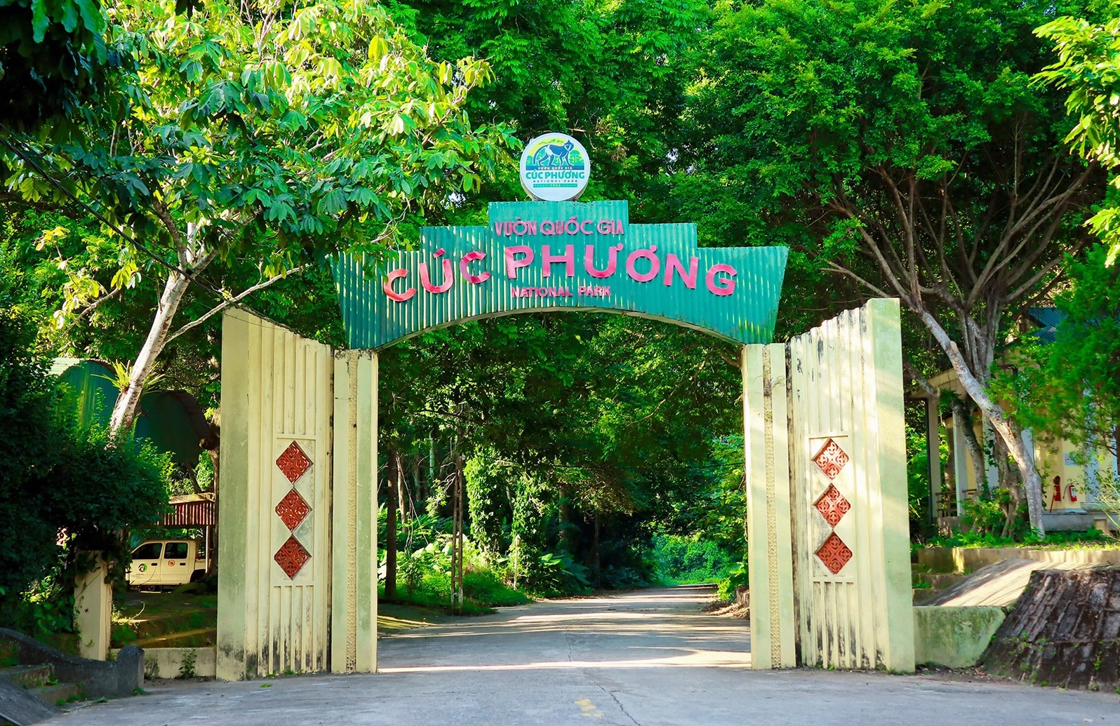 Cảnh quan rừng Cúc Phương vào mùa mưa
