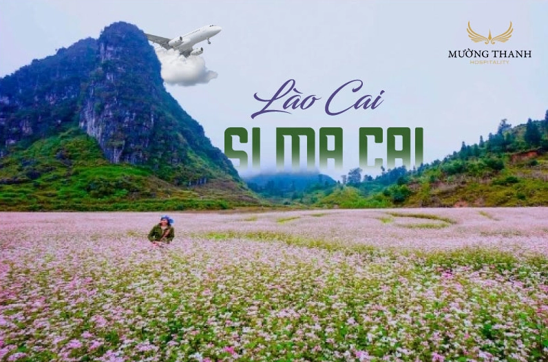 Si Ma Cai: Thiên Đường Ruộng Bậc Thang và Văn Hóa Độc Đáo 2026 Cảnh quan Si Ma Cai Lào Cai