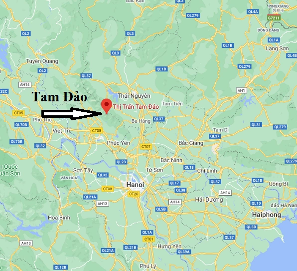 Tam Đảo Là Ở Đâu? Khám Phá Thiên Đường Nghỉ Dưỡng Hàng Đầu Cầu Vàng Tam Đảo nhìn từ xa
