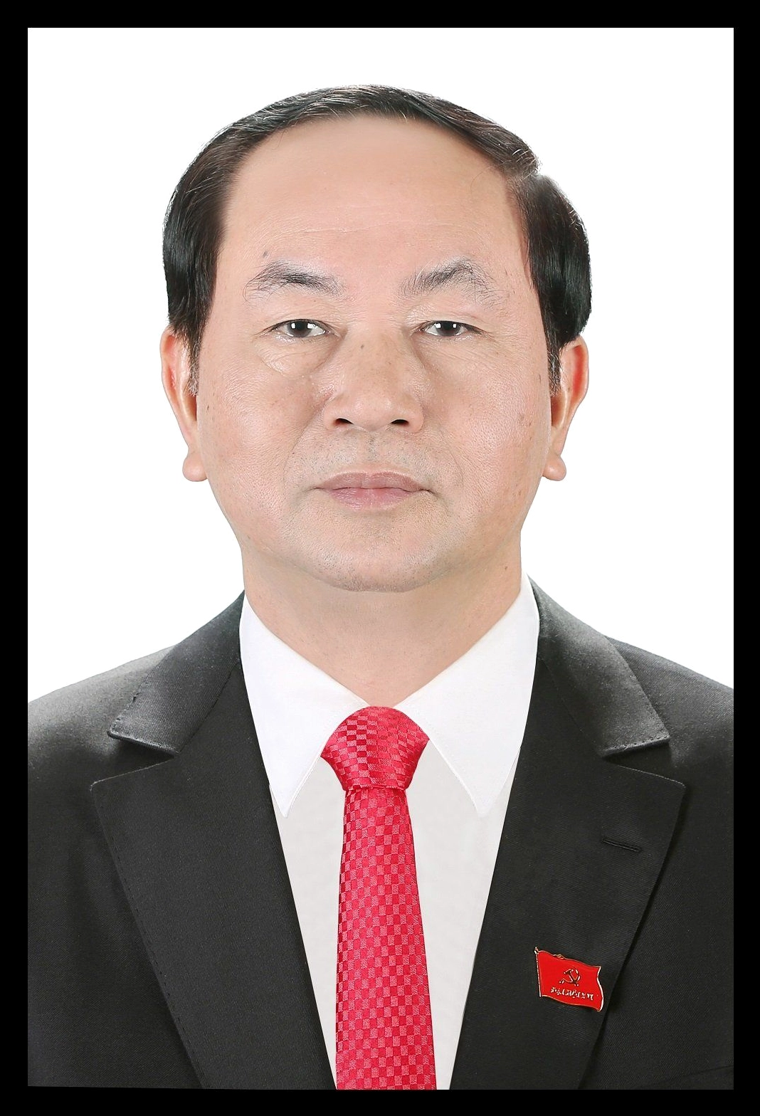 Chủ tịch nước Trần Đại Quang tiếp Đại sứ các nước