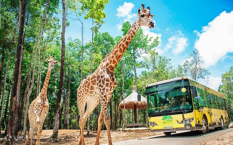 Cổng vào Vinpearl Safari Phú Quốc nhìn từ trên cao