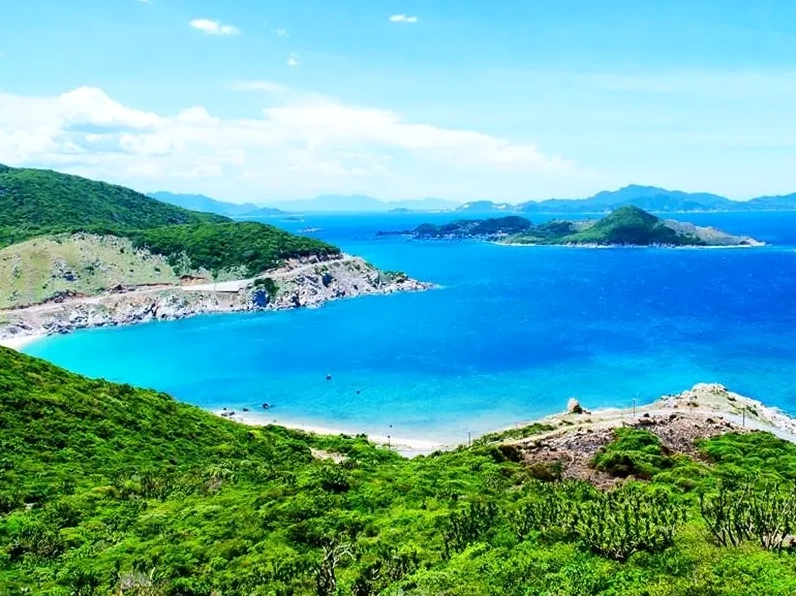 Bãi Biển Ninh Chữ: Thiên Đường Biển Xanh, Cát Trắng Ninh Thuận Hải sản tươi ngon tại bãi biển Ninh Chữ