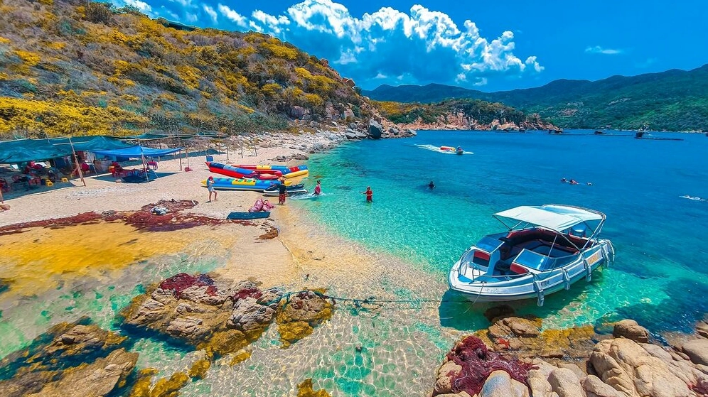 Vịnh Vĩnh Hy: Điểm Đến Thiên Đường Biển Đảo 2026 Hang Rái với những khối đá san hô cổ
