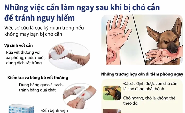 Hiệu quả của vắc xin chích ngừa chó cắn
