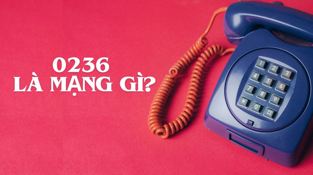 0236 là mạng gì? Giải mã đầu số và ý nghĩa chi tiết 2026 Hình ảnh biểu tượng điện thoại và kết nối