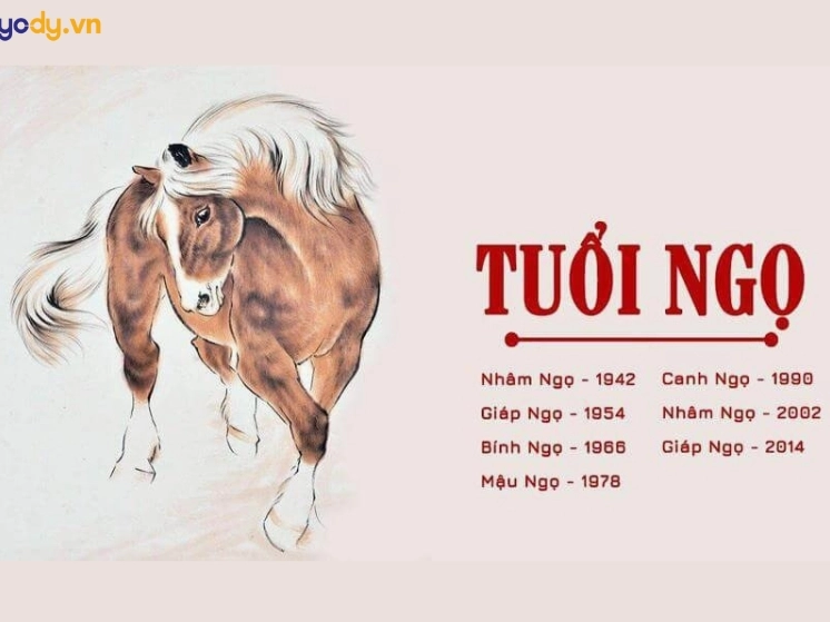 Tuổi Ngọ sinh năm bao nhiêu? Giải mã vận mệnh chi tiết 2026 Hình ảnh con ngựa với biểu tượng may mắn