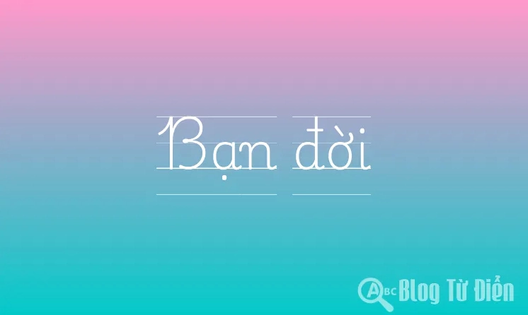 Bạn Đời Là Gì? Hơn Cả Tình Yêu, Là Tri Kỷ Của Đời Bạn Hình ảnh minh họa khái niệm bạn đời
