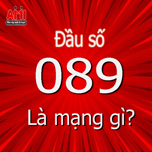 Hình ảnh minh họa sim số đẹp đầu số 089