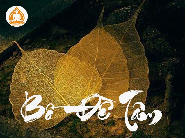 Bồ Đề Tâm: Khai Mở Trí Tuệ và Lòng Từ Bi Vô Lượng Hình ảnh minh họa về bồ đề tâm