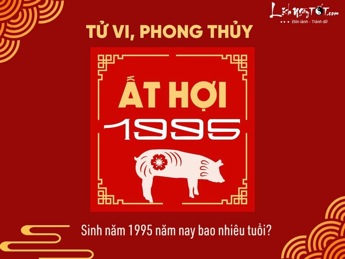 Hình ảnh người tuổi Hợi sinh năm 1995