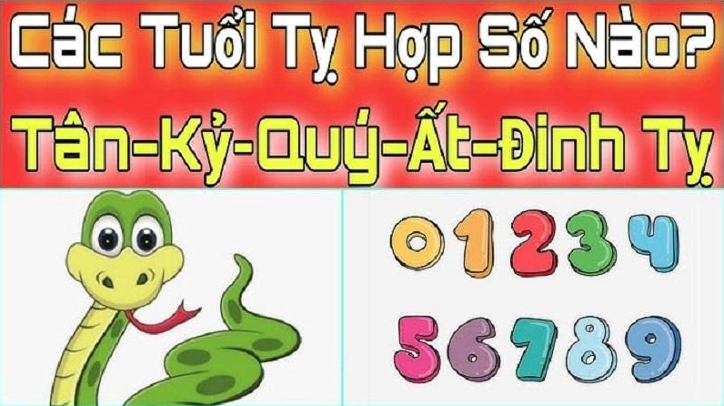 Hình ảnh người tuổi Rắn