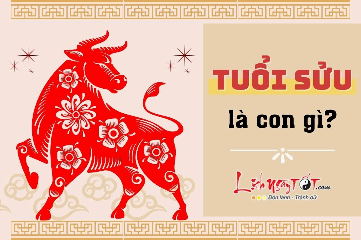 Hình ảnh người tuổi Sửu