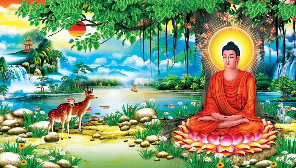 Đức Phật Thích Ca: Cuộc Đời, Giáo Pháp và Di Sản Vĩnh Cửu (2026) Hình ảnh Đức Phật Thích Ca Mâu Ni uy nghiêm
