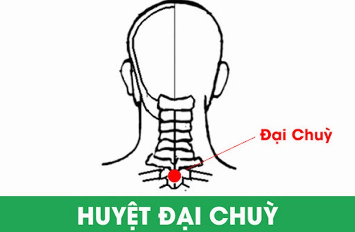 huyet-ai-chuy-kham-pha-ung-dung-toan-dien-theo-y-hoc-hien-ai_361