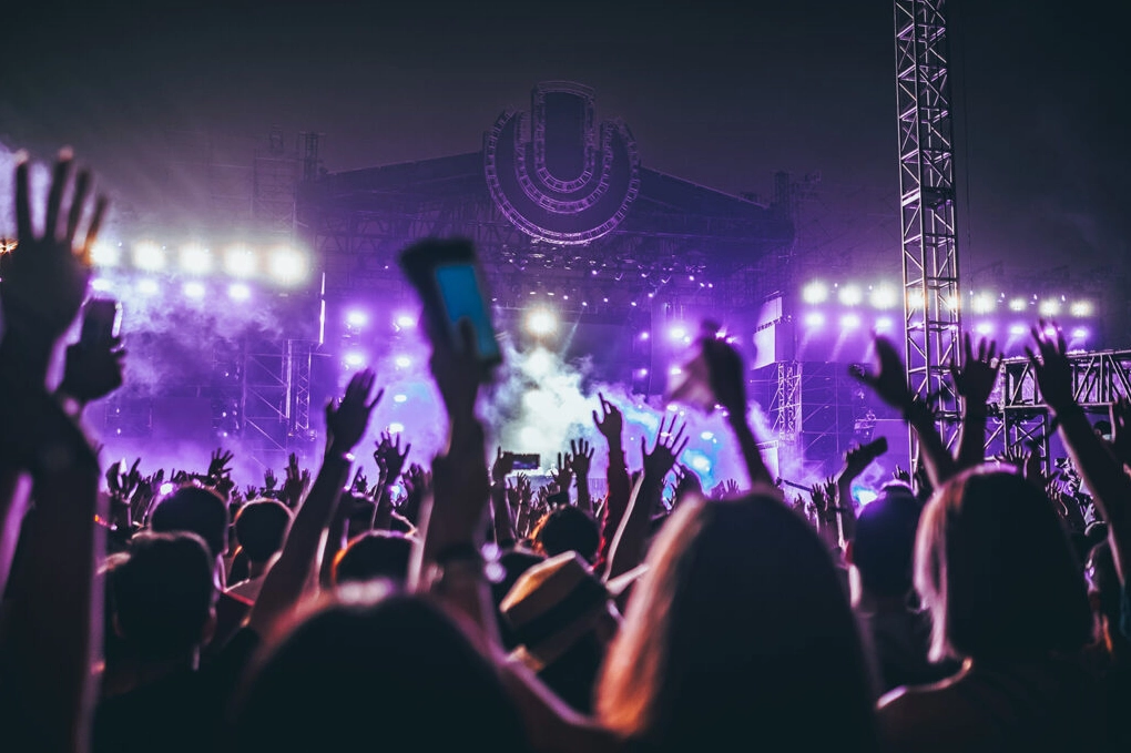Khán giả cuồng nhiệt tại một buổi concert