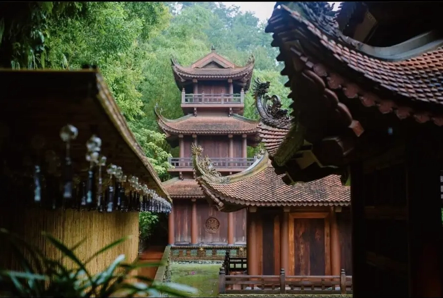 Khám phá Chùa Địa Tạng Phi Lai: Điểm Đến Tâm Linh Hấp Dẫn 2026 Không gian xanh mát tại Chùa Địa Tạng Phi Lai