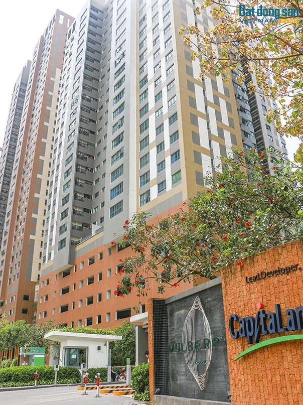 Chung cư Mulberry Lane: Đánh giá chi tiết & Cập nhật 2026 Không gian xanh tại chung cư Mulberry Lane