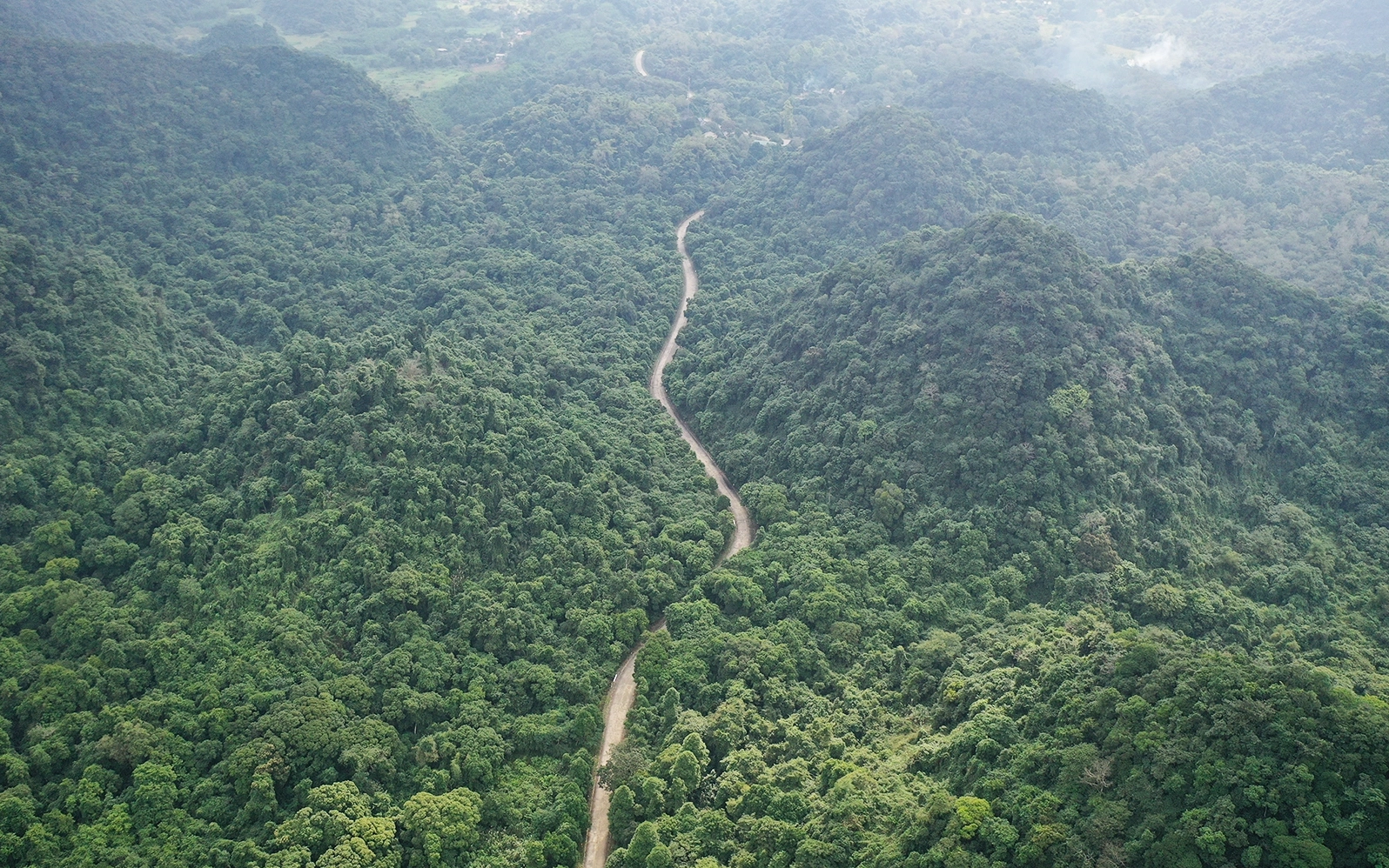 Cúc Phương 2026: Khám Phá Vẻ Đẹp Thiên Nhiên, Kinh Nghiệm Du Lịch Khung cảnh rừng Cúc Phương hùng vĩ