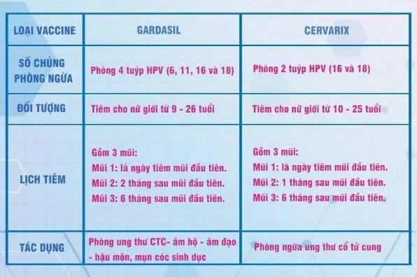 Tiêm HPV bao nhiêu tiền năm 2026? Cập nhật chi tiết Lịch tiêm vắc xin HPV