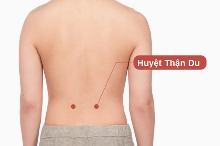 Minh họa huyệt Thận Du