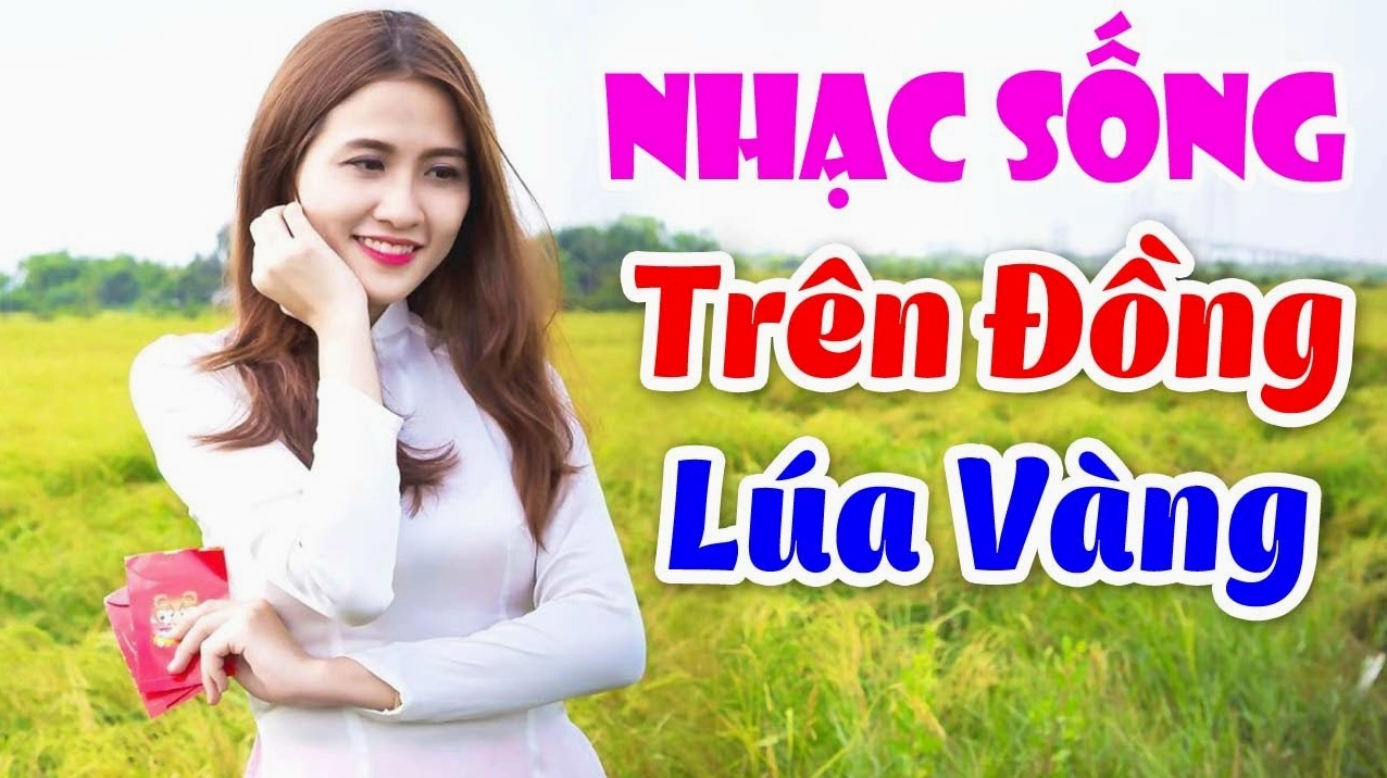 Liên Khúc Nhạc Sống: Sức Hút Khó Cưỡng Của Âm Nhạc Không Lời Nghệ sĩ chơi nhạc cụ tạo ra liên khúc nhạc sống
