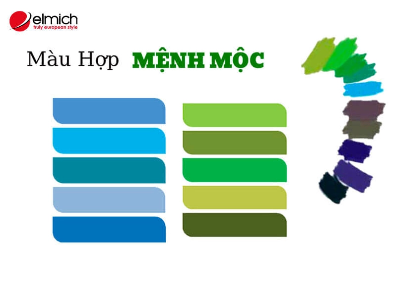 Người mệnh Mộc nên hạn chế màu đỏ, tím, cam