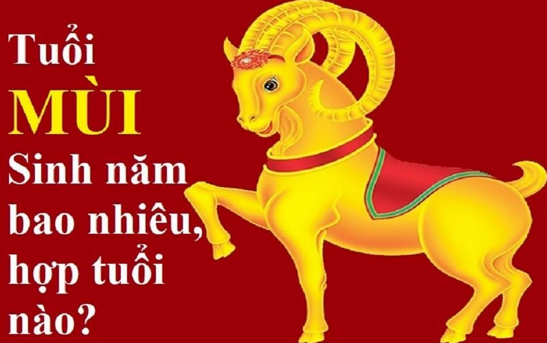 Người tuổi Quý Mùi