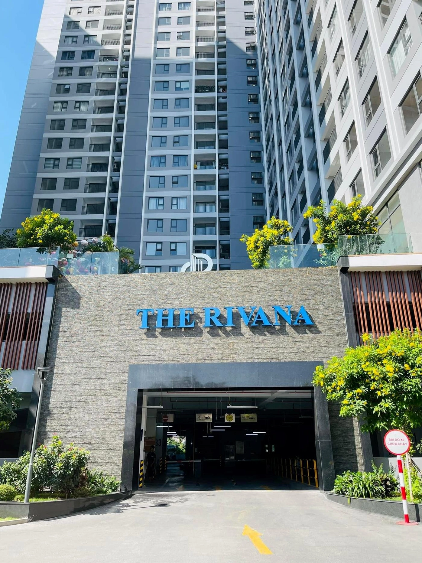Phối cảnh tổng thể chung cư Rivana