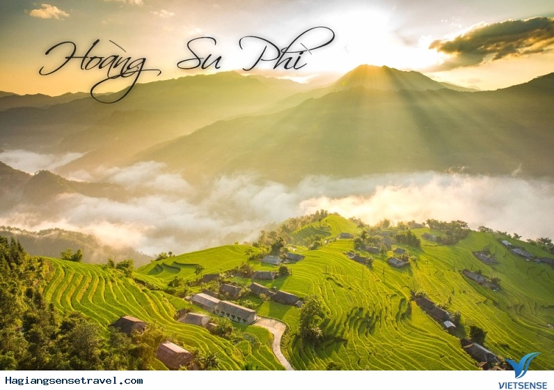 Ruộng bậc thang Hoàng Su Phì mùa lúa chín