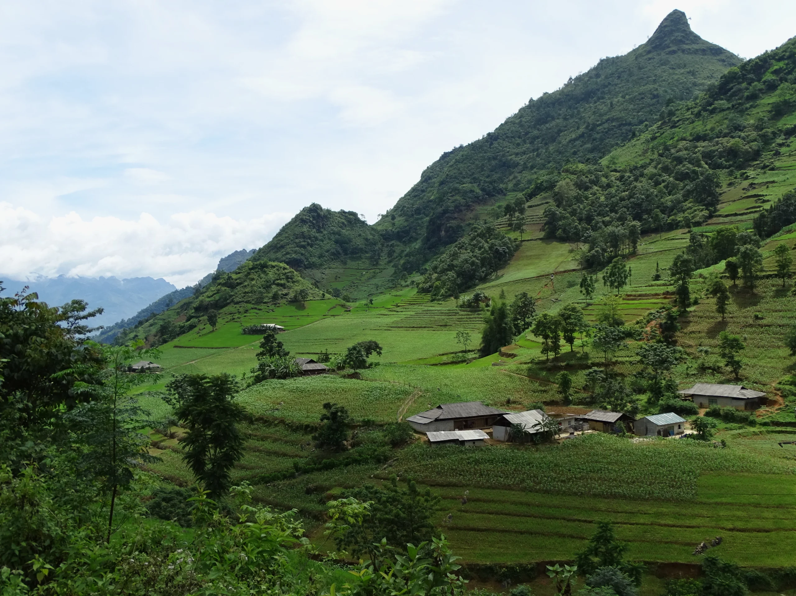 si-ma-cai-thien-uong-ruong-bac-thang-va-van-hoa-oc-ao-2026_386