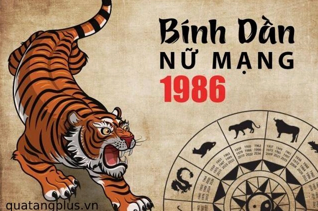 sinh-nam-1986-nu-mang-gi-giai-ma-tu-vi-chi-tiet-2026_630