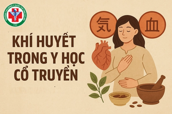 Sơ đồ mối quan hệ khí huyết