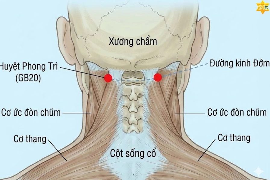 Tập luyện giúp cải thiện sức khỏe vùng cổ vai gáy