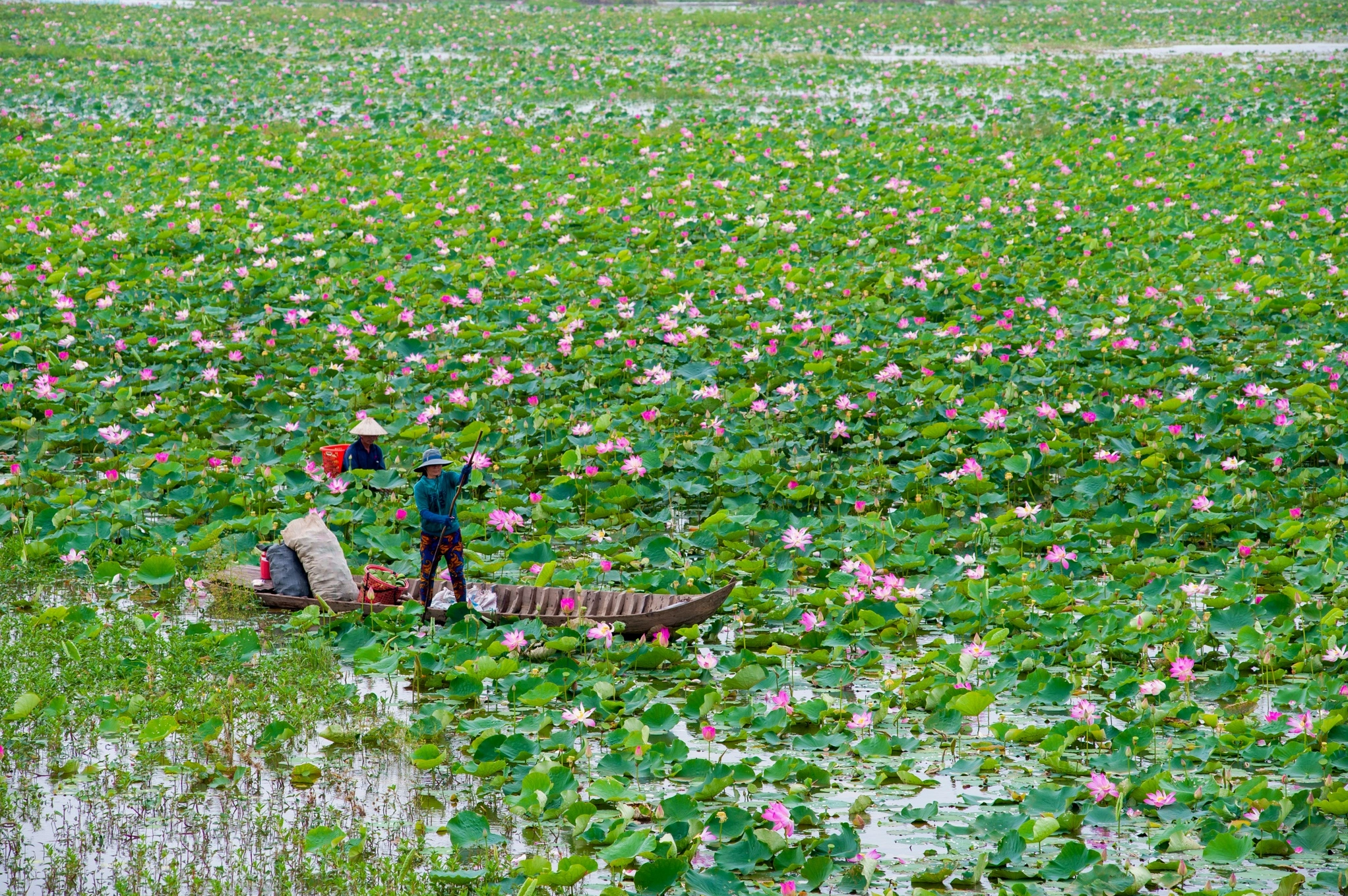 thap-muoi-kham-pha-di-san-ong-thap-muoi_162