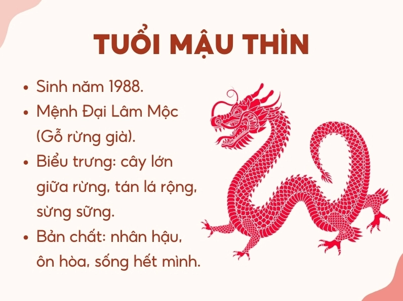 Tính cách người tuổi Mậu Thìn 1988