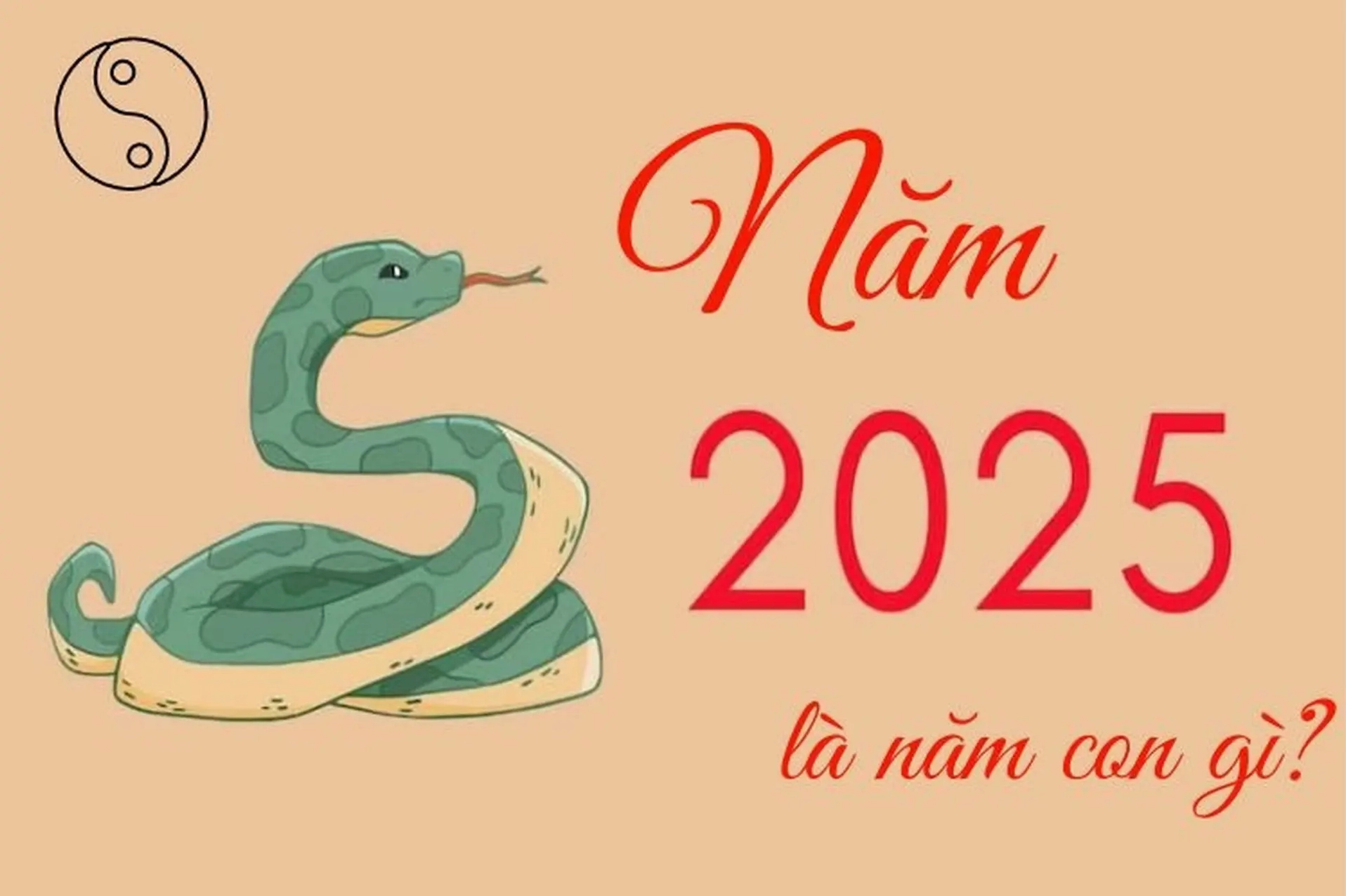 Tổng quan năm 2025