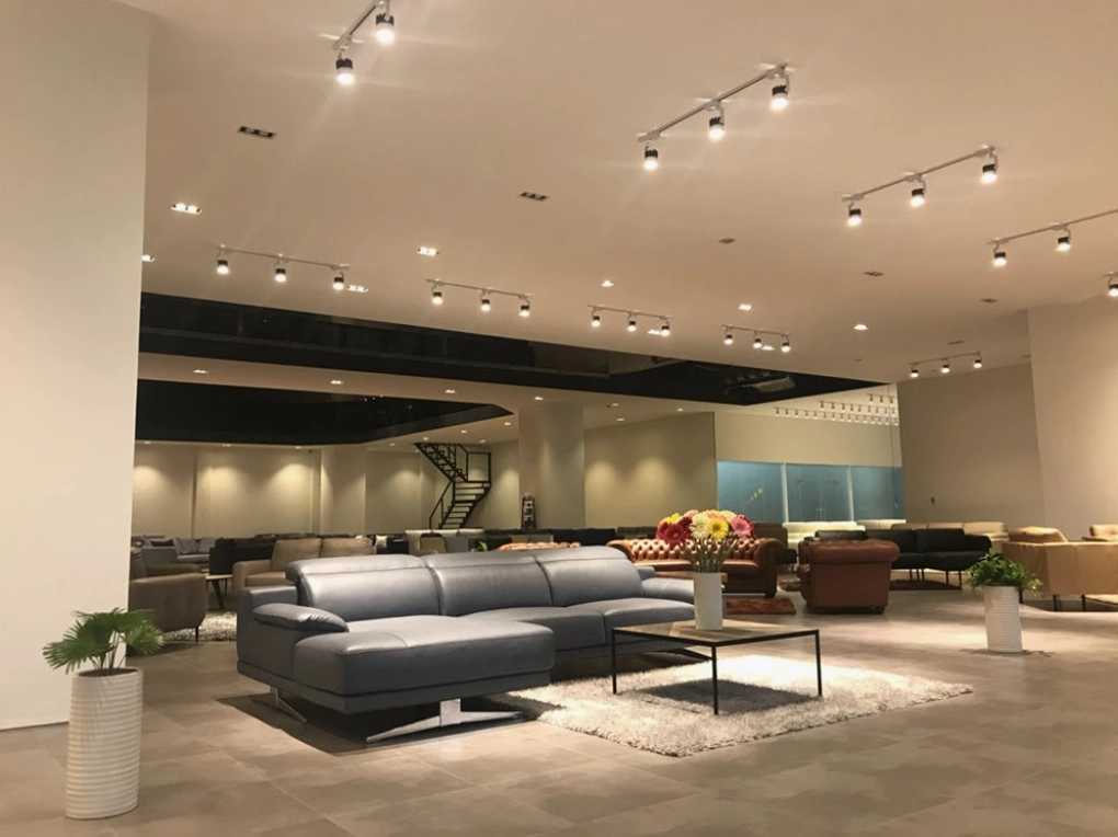 Showroom Nội Thất: Hướng Dẫn Toàn Diện Cho Năm 2026 Trưng bày các sản phẩm nội thất đa dạng và phong cách