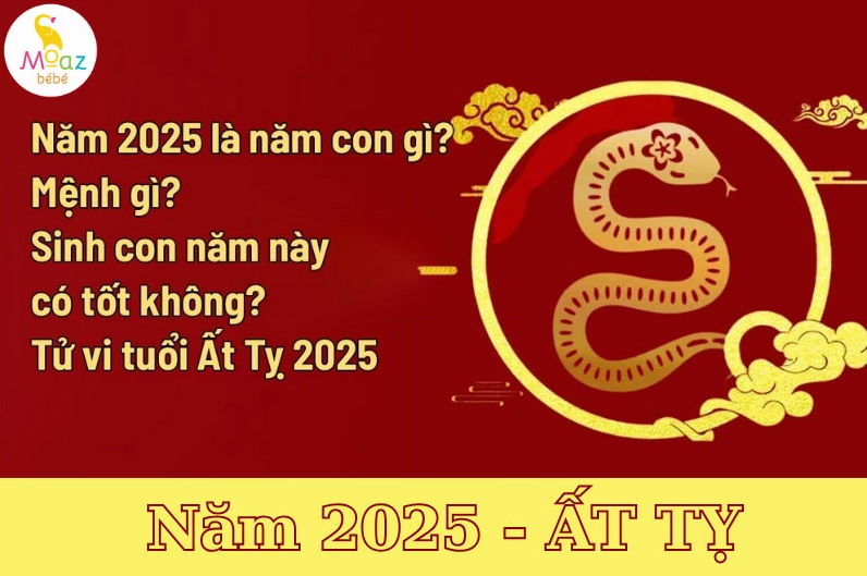 Tử vi 2025 cho tuổi Giáp Thìn
