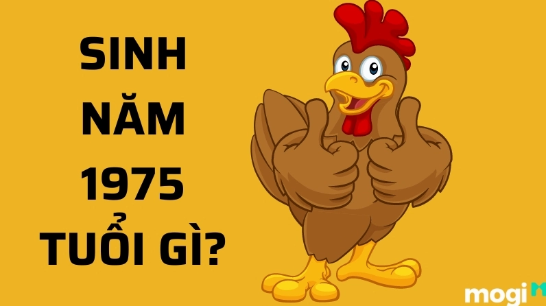 Tuổi Dậu sinh năm 1975